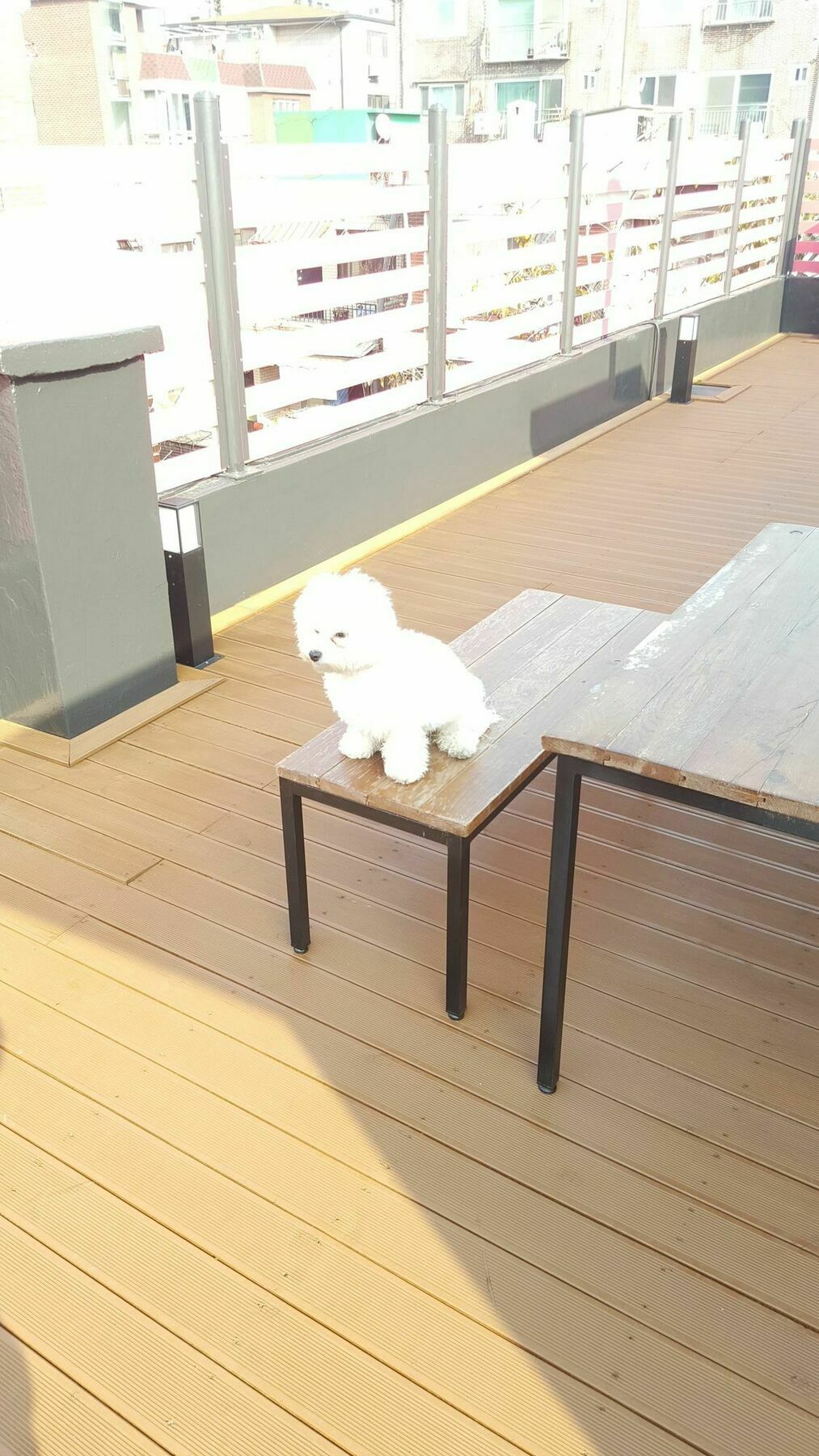 Amazon Guesthouse Seoul Eksteriør bilde