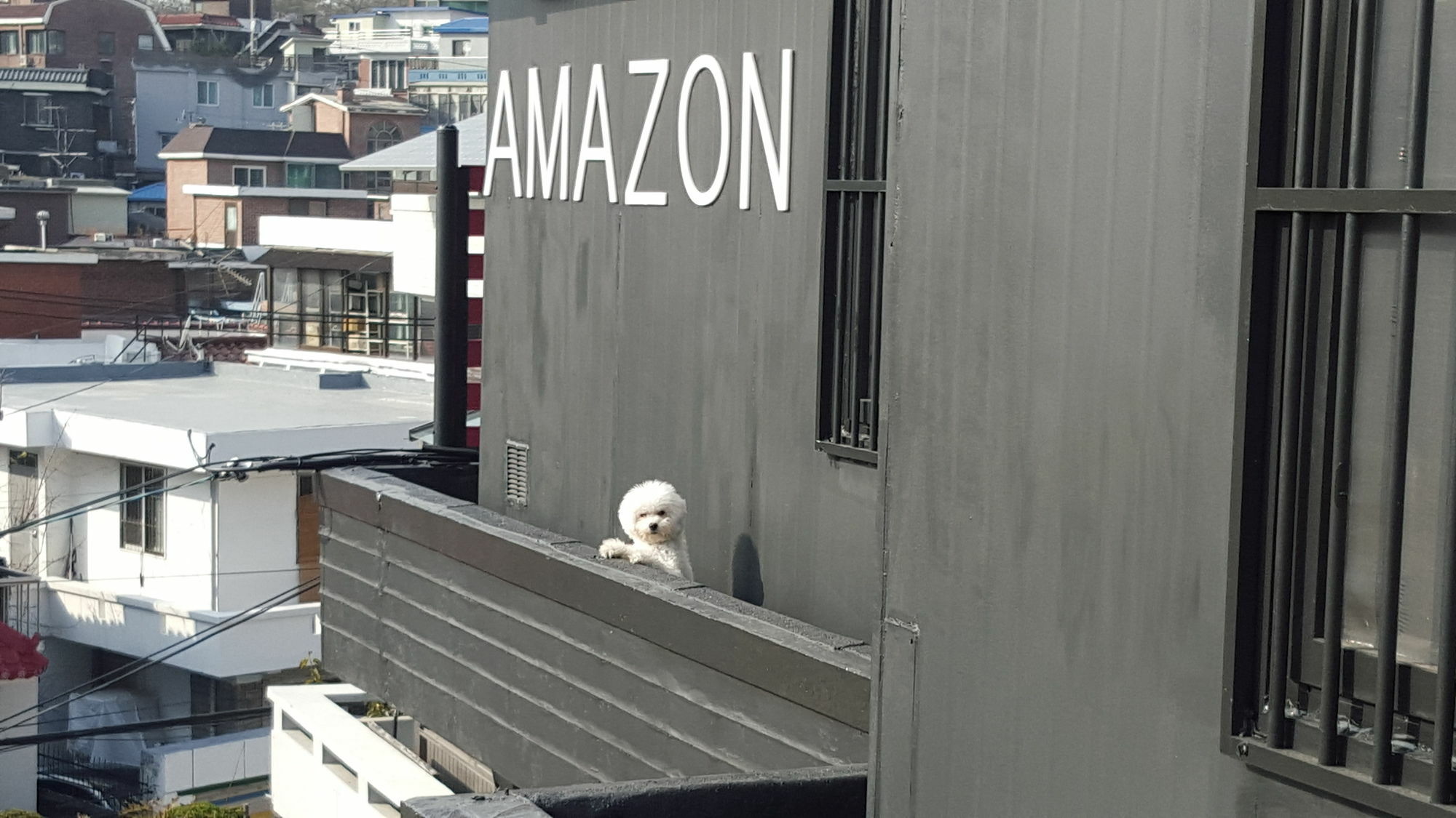 Amazon Guesthouse Seoul Eksteriør bilde